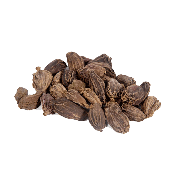 Badi Elaichi Indian 10g - Daily Grocery