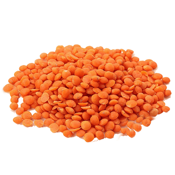 Daal Masoor 1KG – Daily Grocery