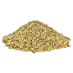 Dhaniya Sabut 120g - Daily Grocery