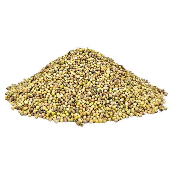 Dhaniya Sabut 120g - Daily Grocery