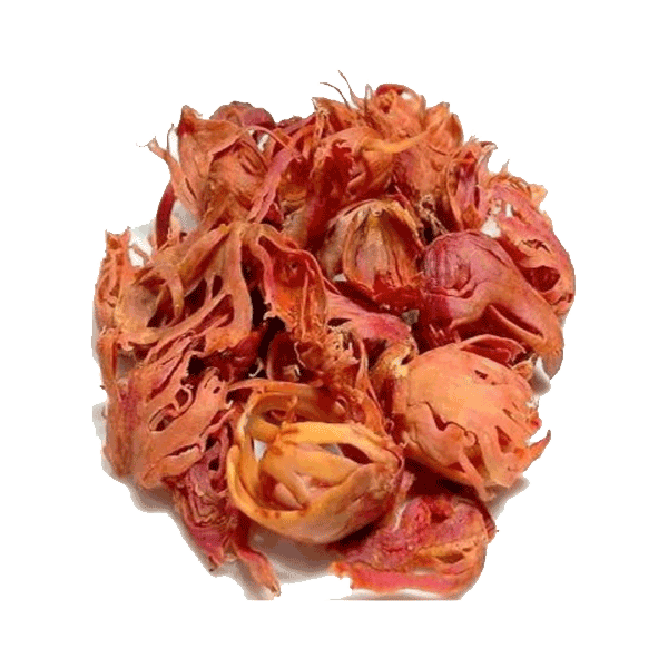 Javitry 5g – Daily Grocery