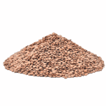 Daal Masoor Saboot 500g – Dailygrocery