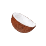 sabut_coconut_dailygrocery