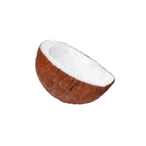 Coconut Sabut 100g - Dailygrocery