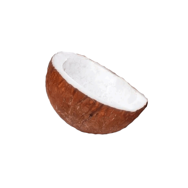 Coconut Sabut 100g - Dailygrocery